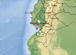 Temblor de magnitud 4,8 se registró en Guayaquil la madrugada de este 14 de septiembre