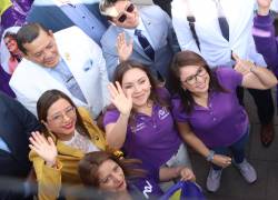 Simpatizantes de ADN y sus representantes acuden al Consejo Nacional Electoral. Foto: API