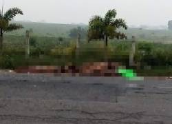 Los cuerpos de nueve personas, con evidentes huellas de tortura, fueron abandonados este viernes en una carretera del sur del oriental estado mexicano de Veracruz.