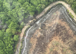 Fotografía compartida por la CNA en la que aparece el terreno sobre el que se habría realizado la tala ilegal de manglar.