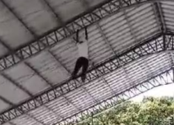 Captura de video que captó la caída.