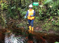 El agua que entra a las concesiones mineras es monitoreada en sus niveles físicos y químicos, para ser devuelta en las mismas o mejores condiciones.