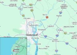 Registro del sismo en Samborondón