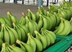 Ecuador se ubica entre los países más favorecidos por nuevo esquema arancelario de EE.UU.