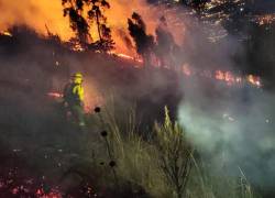 Incendio forestal en el sector Sorialoma, oriente de Quito.
