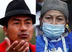 Indígenas de Ecuador felicitan a la líder mapuche del Constituyente de Chile