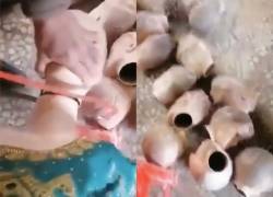 En redes sociales circula un video en el que se ve a hombres cortando con sierras las cabezas de maniquíes femeninos de plástico.