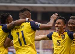 El seleccionador de Ecuador, el argentino Gustavo Alfaro, citó el domingo a 29 jugadores, 17 de ellos legionarios