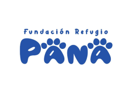 Concierto en Guayaquil para salvar a perritos y gatitos abandonados