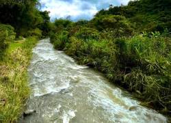 El Río Alambi de Pichincha fue declarado como sujeto de derecho tras fallo a su favor