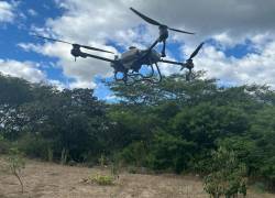 Avance científico: Drone podrá sembrar 1.500 semillas en 15 minutos en Ecuador