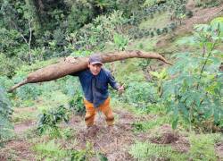 Fotografía de un hombre peruano, residente de la localidad de Cajamarca, con una yuca gigantesca cosechada por él.