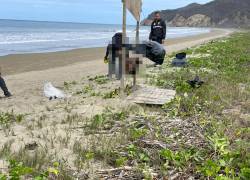 Cabezas humanas halladas en una playa.
