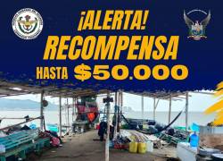 Según el comunicado oficial, quienes posean información pueden comunicarse de manera gratuita al número 131.