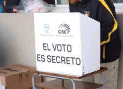 Los observadores electorales de la OEA monitorearán el desarrollo de las elecciones presidenciales en territorio ecuatoriano, en Washington y en Madrid.