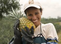 SIIM presenta la primera piña del mundo totalmente carbono neutro.