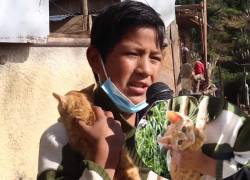 Niño que vendía a su gato en Gualaceo, para ir a la escuela y comer, recibe ayuda