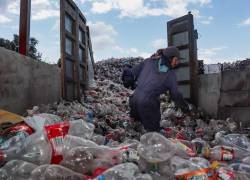 Bajo el sello de Origin, Reciclapet procesa alrededor de 1.000 toneladas mensuales de PET reciclado.