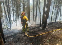 Bomberos controlando uno de los incendios forestales en la ciudad de Quito.