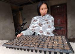 Warmi Imbabura implementó granjas orgánicas a 300 mujeres cabeza de hogar.