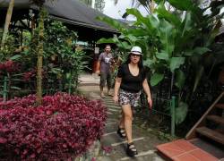 Se espera cerrar este 2021 con 600.000 turistas extranjeros al país, un leve repunte respecto al 2020.
