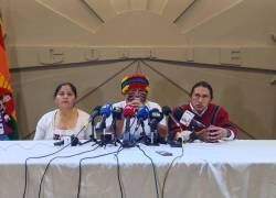 No somos terroristas, ni estamos financiados por las mafias. El verdadero terror lo ha impuesto el Gobierno con su represión contra el pueblo, afirmó Vargas.