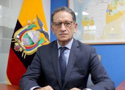 Bermeo fue viceministro de hidrocarburos y gerente de Petroamazonas en el gobierno de Moreno.