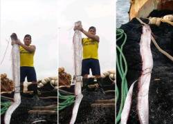 Pescadores de Ecuador hallaron un pez remo en Salinas.