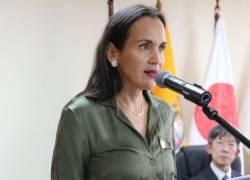 Fotografía de archivo de la ministra de Ambiente y Energía, Inés Manzano.