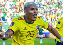 Roger Martínez, exseleccionado colombiano.