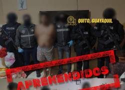 Las detenciones se realizaron en 13 allanamientos ejecutados en Guayaquil y Quito.
