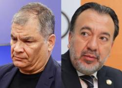 Rafael Correa cuestiona precandidatura de Pabel Muñoz.