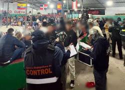 Clausuran gallera clandestina en el extremo norte de Quito.