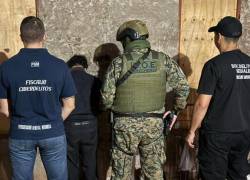 Se realizaron 95 arrestos en 17 países en una operación contra la distribución de material de abuso sexual infantil.