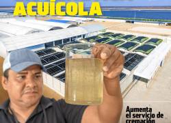 Revista Enfoque Edición 77- 2025