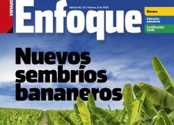 Revista Enfoque - Edición 70 - Febrero 2025