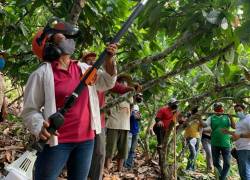 Con la firma de un acuerdo Marco para la homologación del certificado en Buenas Prácticas Agropecuarias, 3.529 agricultores cacaoteros del programa Cocoa Plan de Nestlé serán beneficiados.