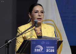 Fotografía de archivo de la presidenta del CNE, Diana Atamaint.