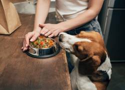 ¿Qué considerar en la 'alimentación natural'?