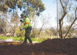 Quito, Guayaquil, Samborondón y Cuenca son solo cuatro de las ciudades que impulsan iniciativas de economía circular. A nivel nacional, otros cantones también están manejando este enfoque.