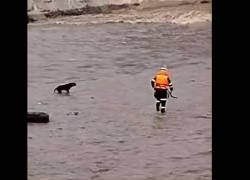 El rescatista Patrick Hiroshi Ospina desapareció en las caudalosas aguas del río Rímac, luego de intentar salvar a un perro.