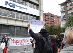 Grupos sociales en los exteriores de la Fiscalía General del Estado, solicitando la liberación de los detenidos durante las protestas del paro nacional convocado por la CONAIE, especialmente los de Imbabura. Foto: API / Rolando Enríquez.