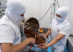 Julieta Chocolatiere elabora bocados de chocolate mezclados con quinua o amaranto. Estos son exportados al mercado europeo por ser orgánicos y contener superalimentos.