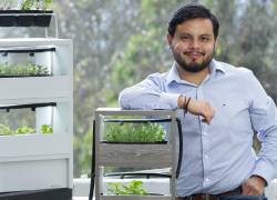 Graduado como ingeniero industrial, Martín Cruz encontró en sus pequeñas granjas de microverduras una opurtunidad de negocio innovadora; ahora, restaurantes de alto perfil están entre sus clientes.