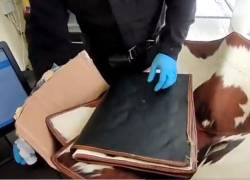 Video: incautan en el aeropuerto de Quito un envío a España de alfombras con cocaína impregnada