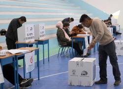 Elecciones seccionales 2026 en Ecuador: cómo consultar si está habilitado para votar