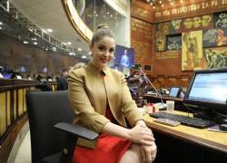 Palacios aseguró públicamente que existirían presuntas conexiones entre Mancheno y el presidente del Consejo de la Judicatura, Mario Godoy.