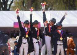 Equipo de Adiestramiento de los deportes encuestres.