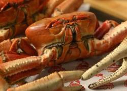 Cangrejo de manglar ecuatoriano.