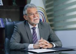 Enroque Pita marcó distancia con las declaraciones de Atamaint, quien aseguró que el CNE es la máxima autoridad durante el periodo electoral, por encima de la Corte Constitucional.